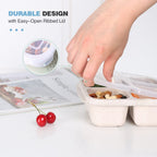 4 Pack Snack Containers, 4 Compartments Bento Snack Box, Reusable Meal Prep Lunch Containers for Kids Adults, Divided Food Storage Containers for School Work Travel