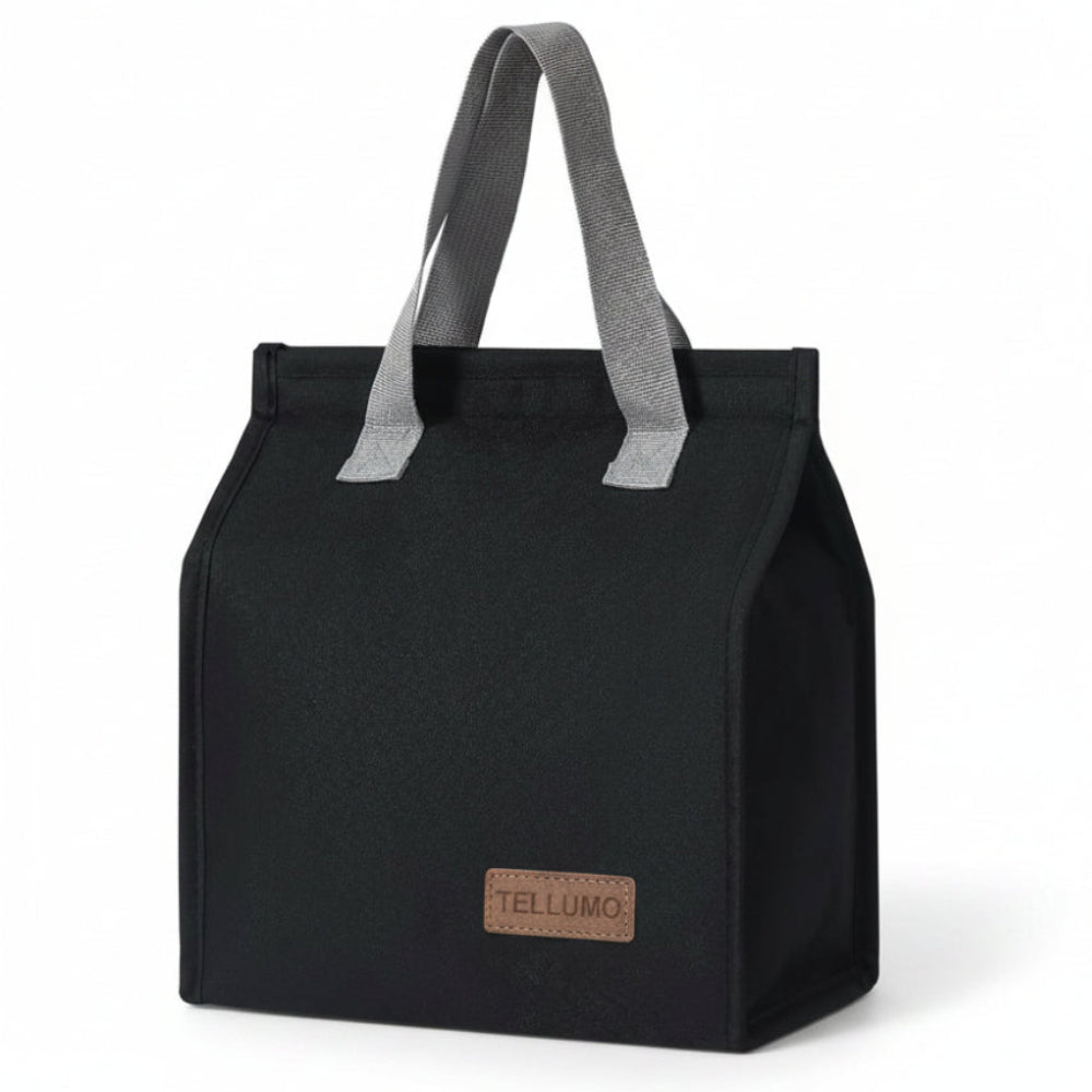 Insulated Lunch Bag for Men Women, Large Reusable Leakproof Lunch Box Container, Small Portable Thermal Snack Bag, Reusable Travel Office Work Beach Black Cooler Tote Bag for Adults, Dark